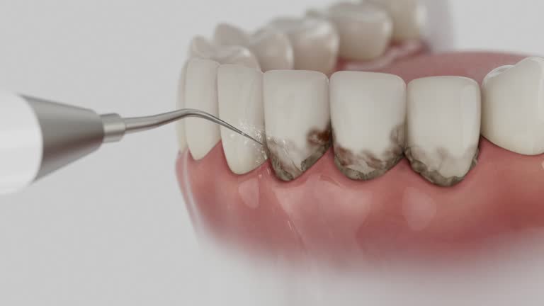Reliable Dental contractor in Moorhead, MS by Dentist Open Now